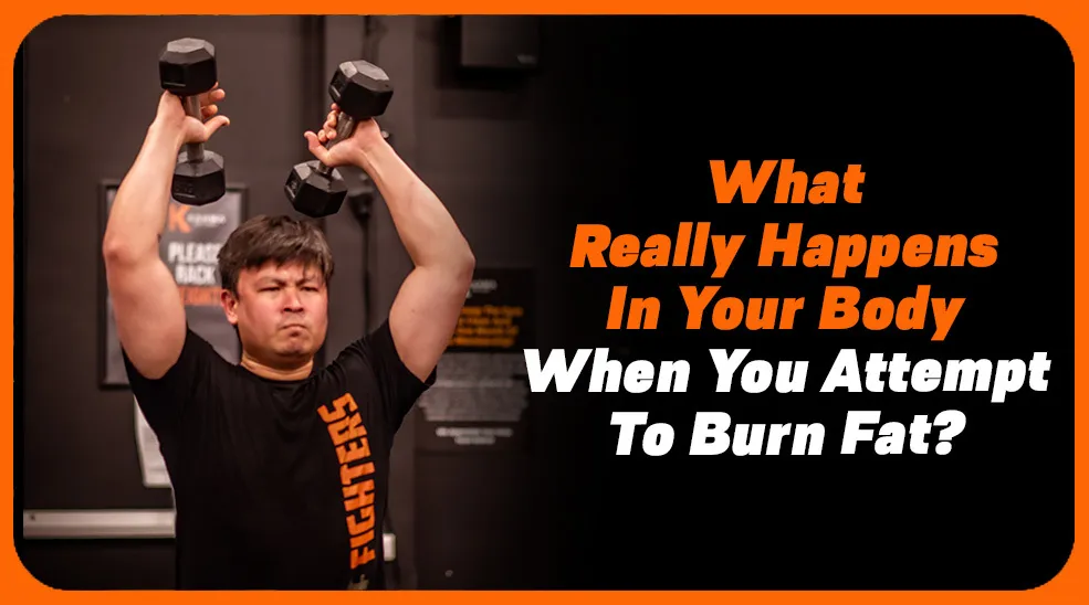 burn fat